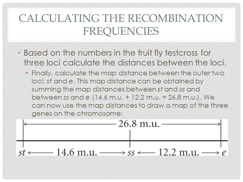 Calculating the recombination frequencies