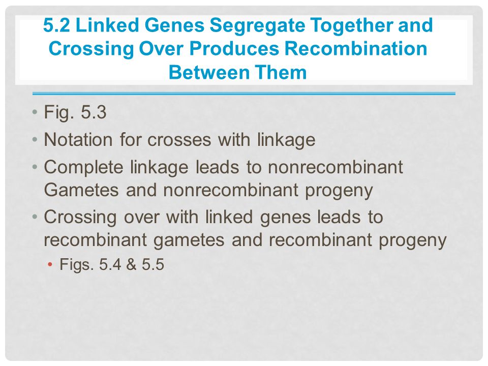 5.2 Linked Genes Segregate Together and Crossing Over Produces Recombination Between Them