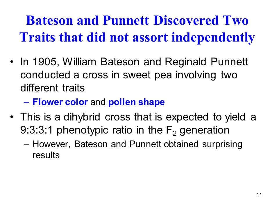 Bateson and Punnett Discovered Two Traits that did not assort independently