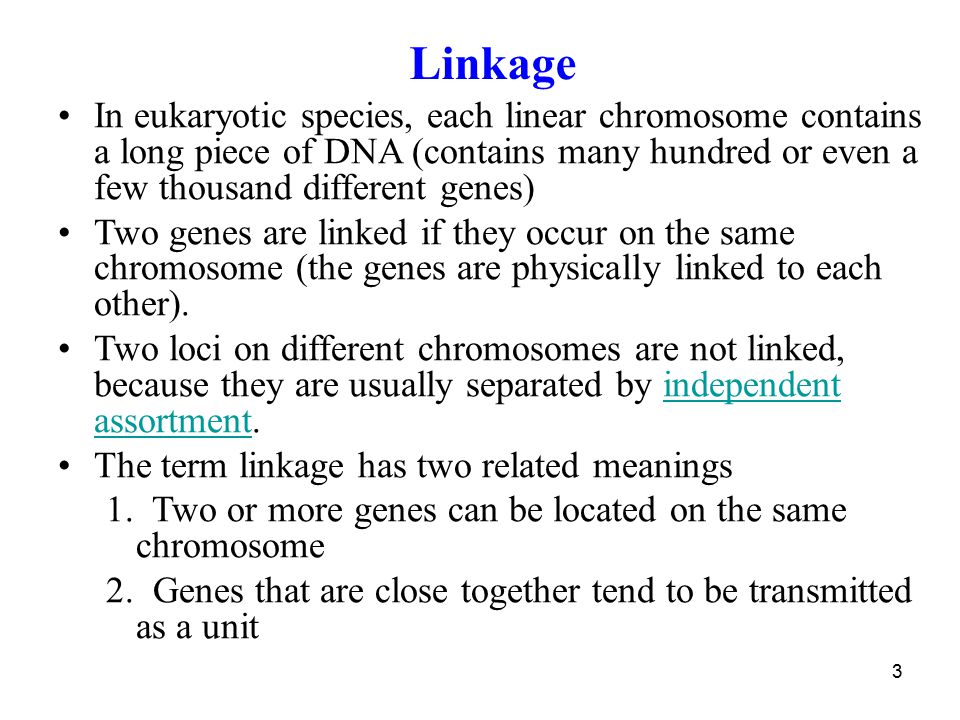 Linkage In eukaryotic species, each linear chromosome contains a long piece of DNA (contains many hundred or even a few thousand different genes)