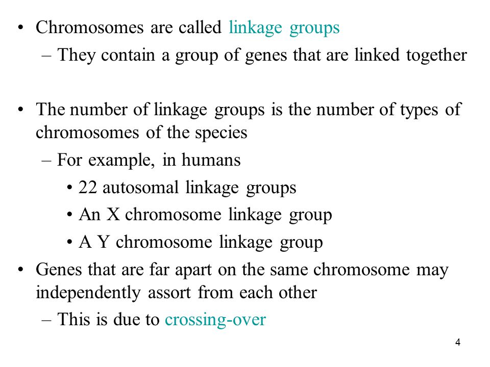 Chromosomes are called linkage groups