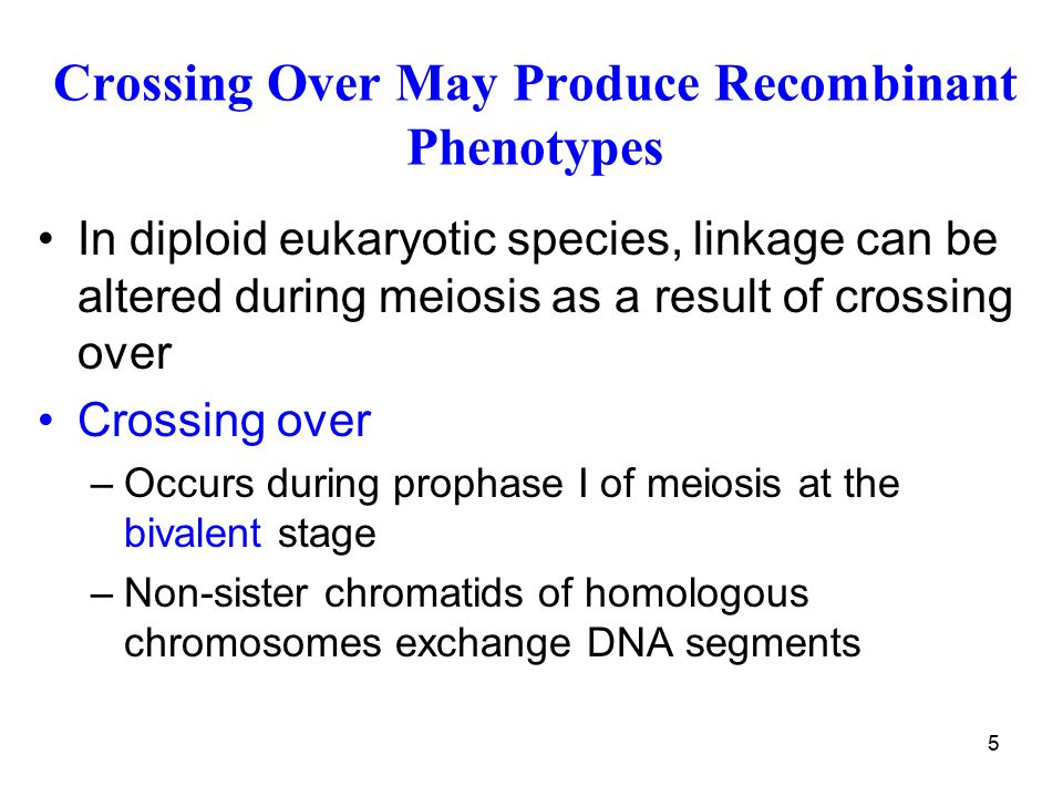 Crossing Over May Produce Recombinant Phenotypes