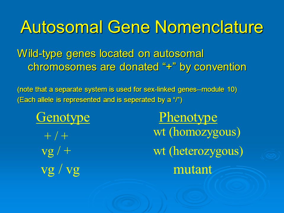Autosomal Gene Nomenclature