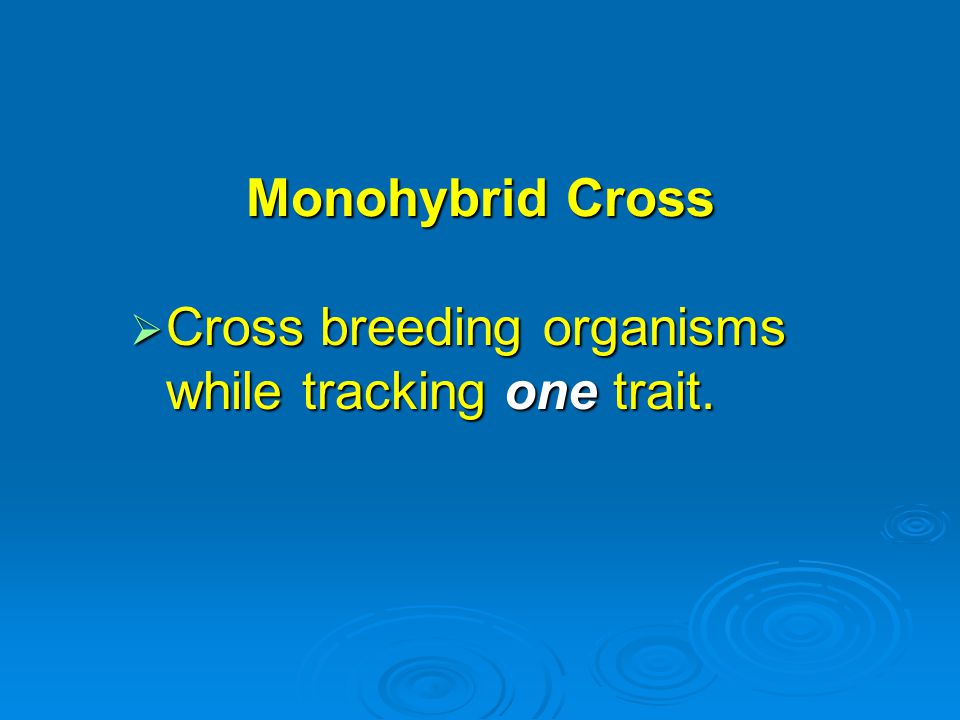 Monohybrid Cross Cross breeding organisms while tracking one trait.