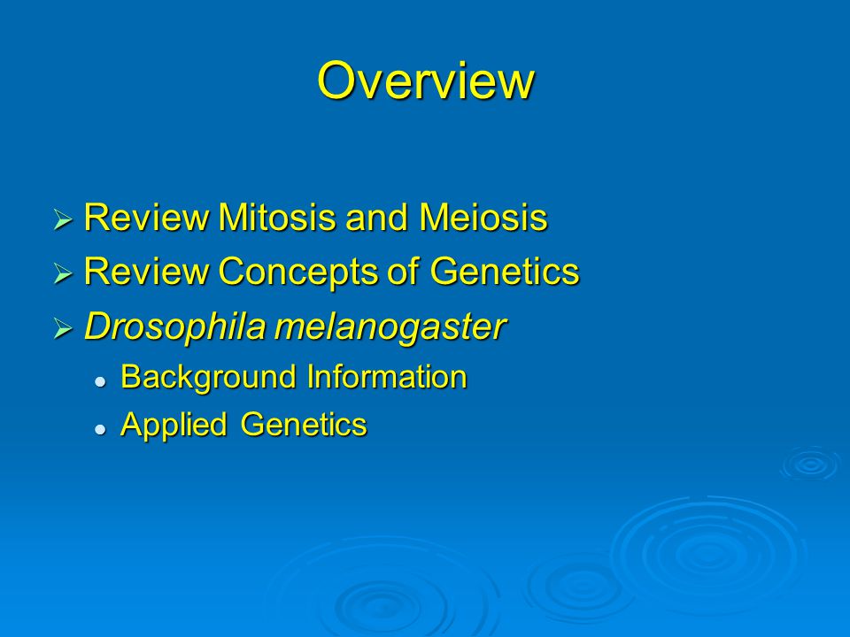 Overview Review Mitosis and Meiosis Review Concepts of Genetics