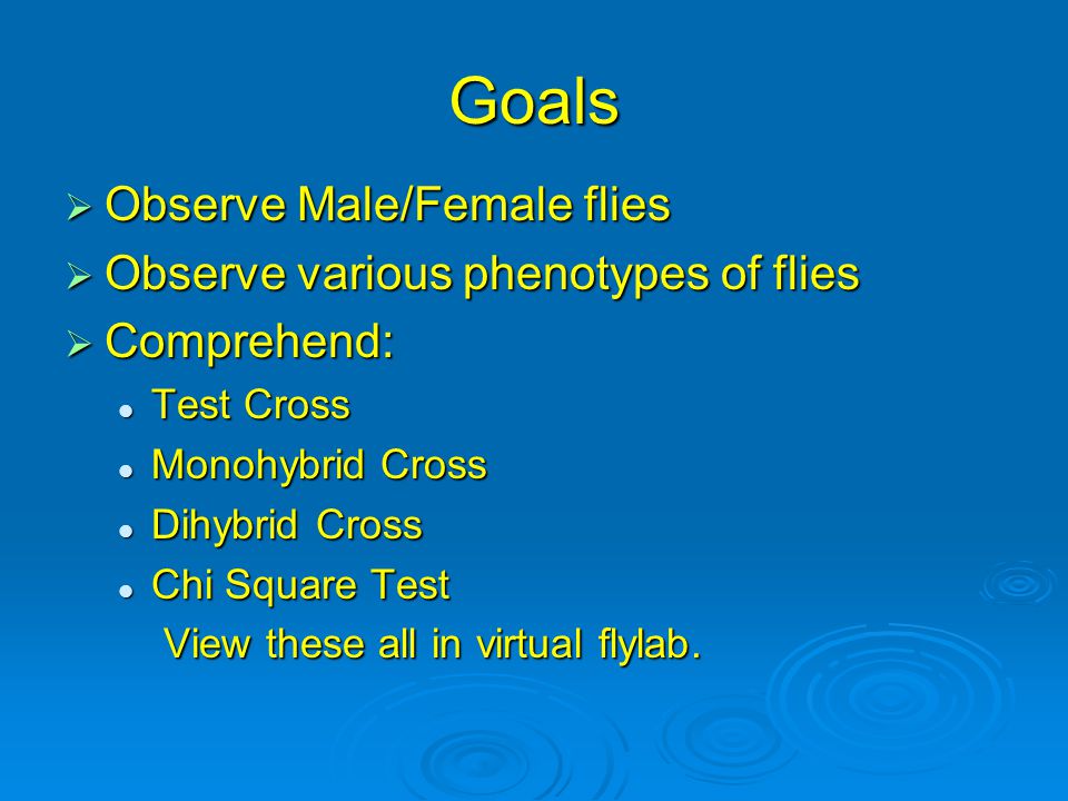 Goals Observe Male/Female flies Observe various phenotypes of flies