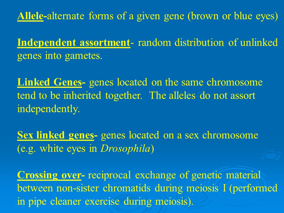 Allele-alternate forms of a given gene (brown or blue eyes)