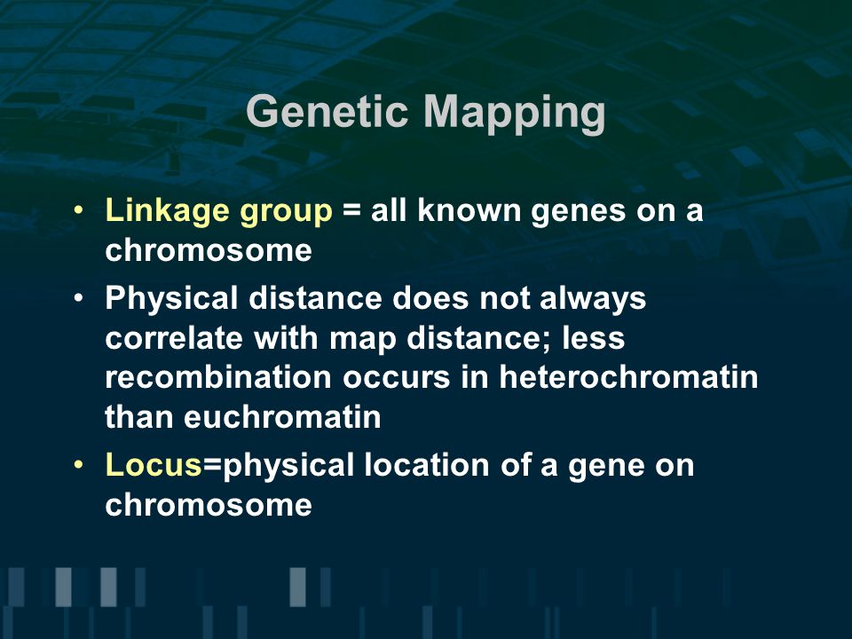 Genetic Mapping Linkage group = all known genes on a chromosome