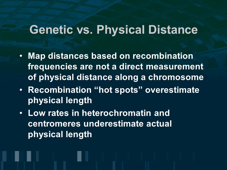 Genetic vs. Physical Distance