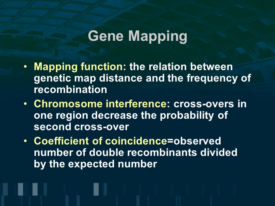 Gene Mapping Mapping function: the relation between genetic map distance and the frequency of recombination.