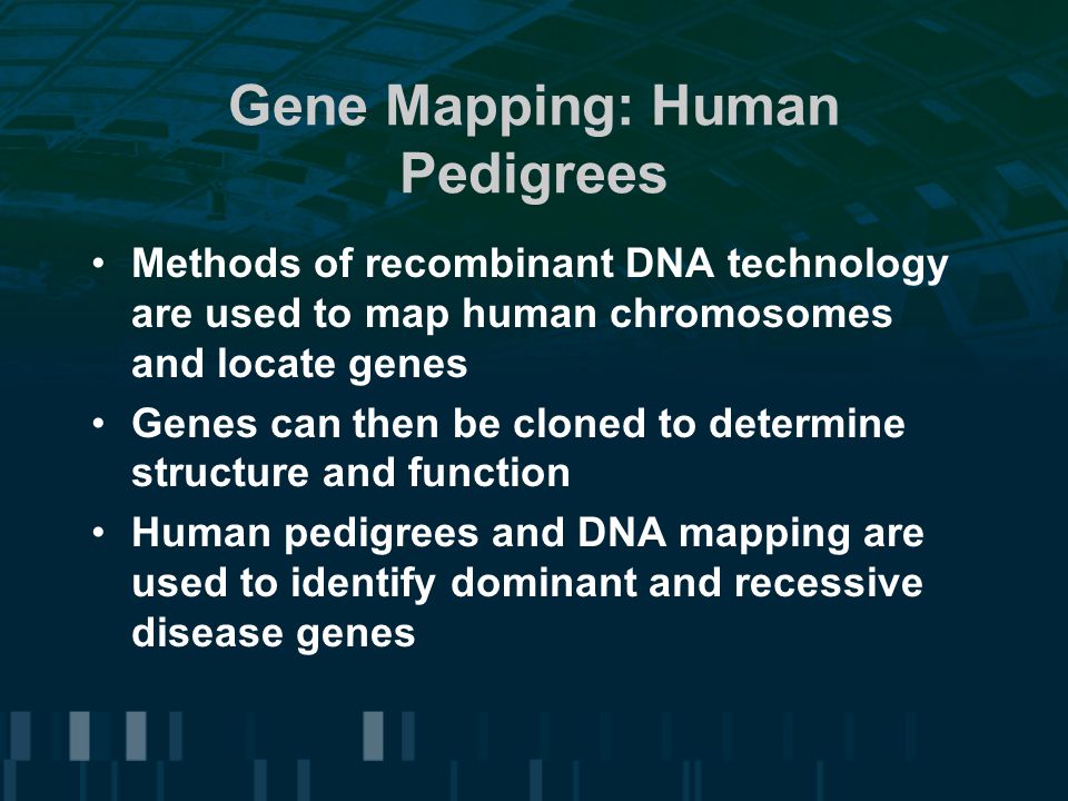 Gene Mapping: Human Pedigrees