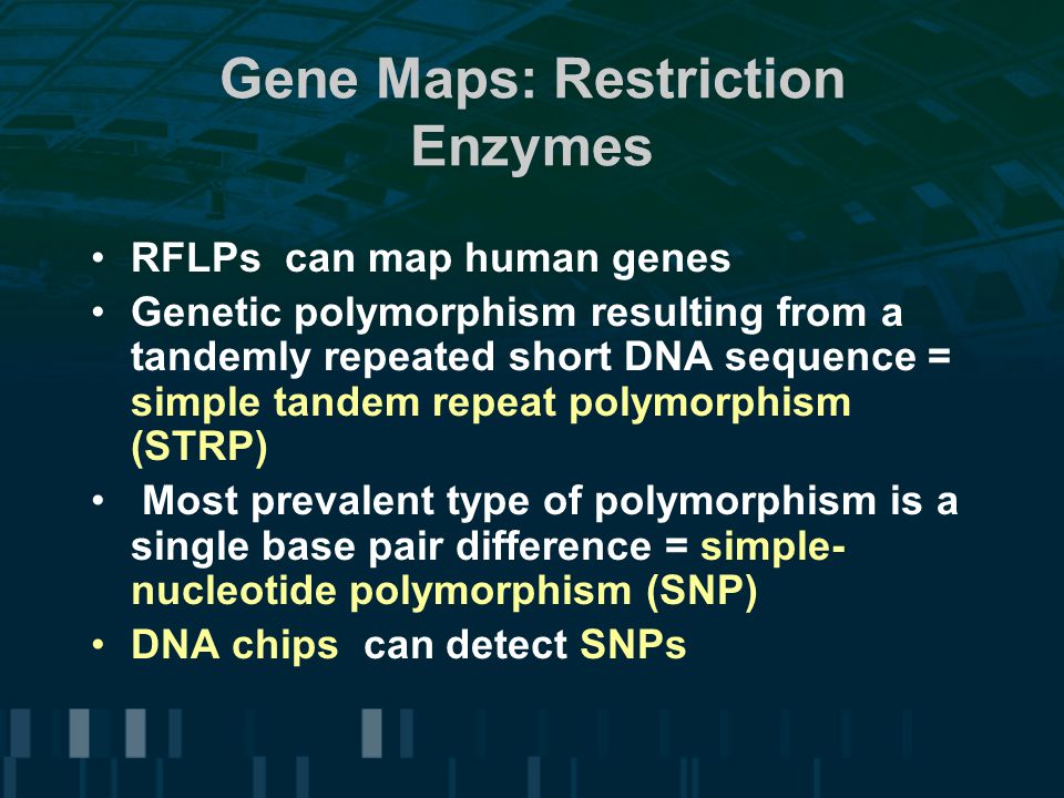Gene Maps: Restriction Enzymes