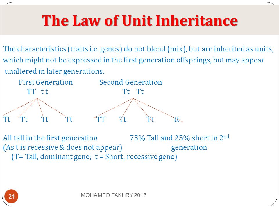 What is the name of the unit of inheritance?