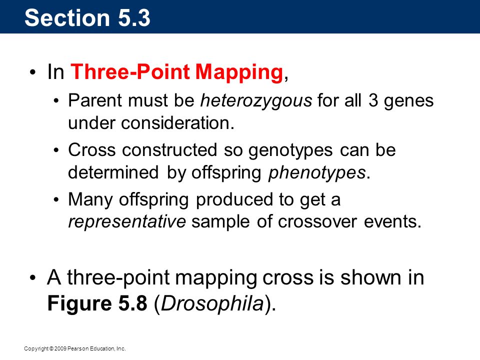 Section 5.3 In Three-Point Mapping,