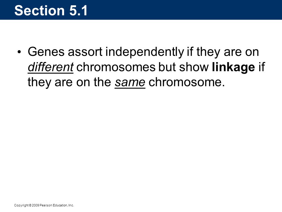 Section 5.1 Genes assort independently if they are on different chromosomes but show linkage if they are on the same chromosome.