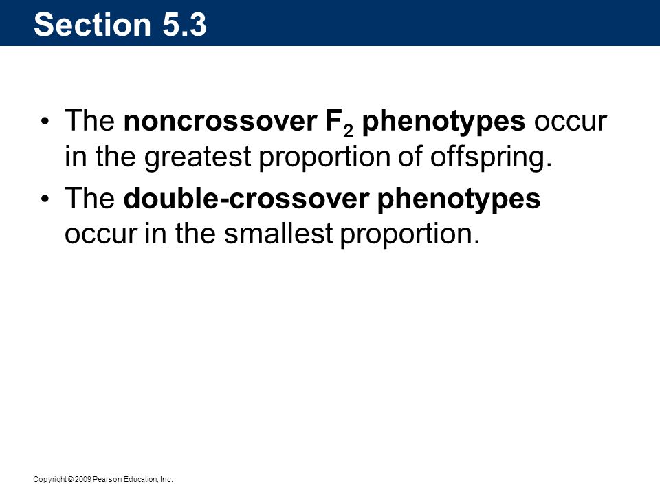 Section 5.3 The noncrossover F2 phenotypes occur in the greatest proportion of offspring.