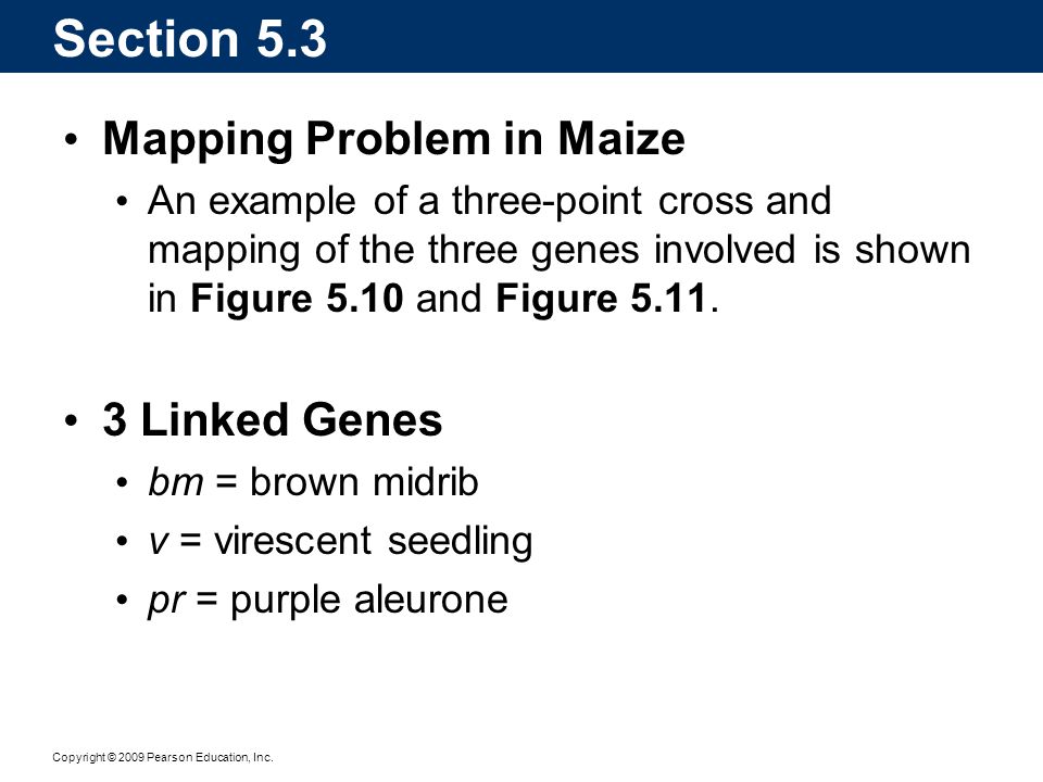 Section 5.3 Mapping Problem in Maize 3 Linked Genes