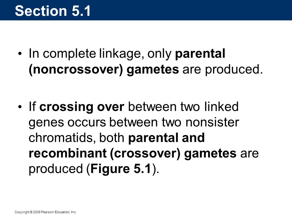 Section 5.1 In complete linkage, only parental (noncrossover) gametes are produced.