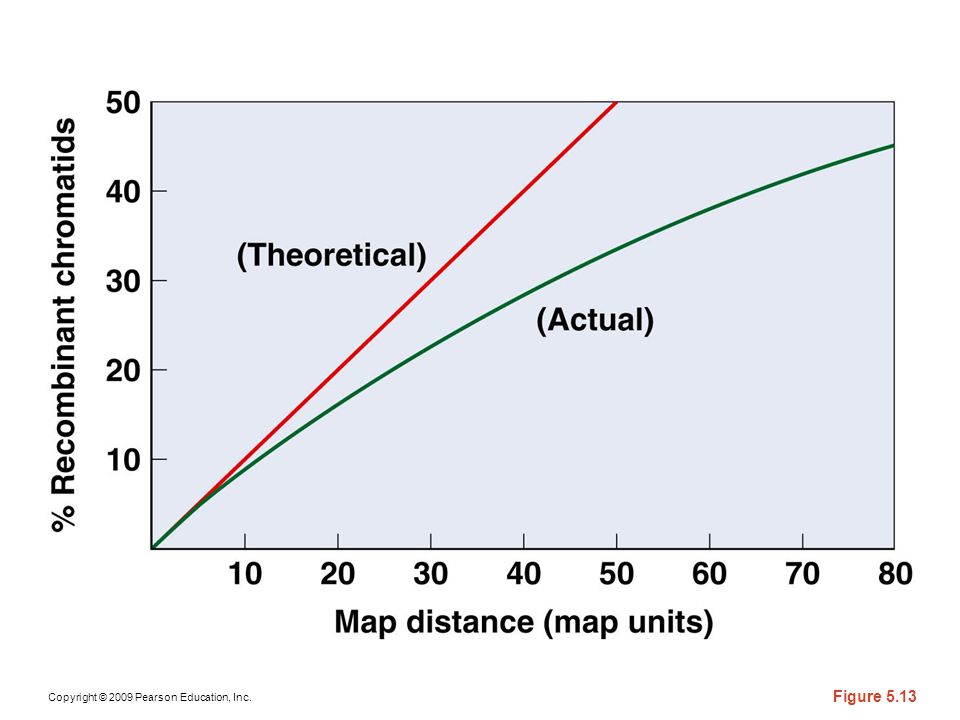 Figure 5-13 The relationship between the percentage of recombinant chromatids that occur and actual map distance when (a) Poisson distribution is used to predict the frequency of recombination in relation to map distance; and (b) there is a direct relationship between recombination and map distance.