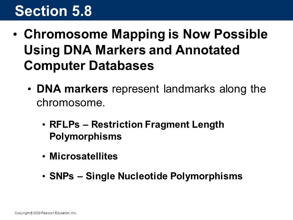 Section 5.8 Chromosome Mapping is Now Possible Using DNA Markers and Annotated Computer Databases.