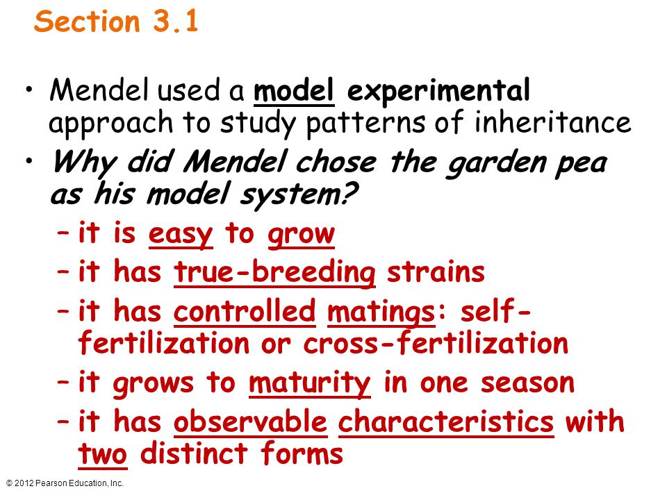 why did mendel choose peas for his experiments