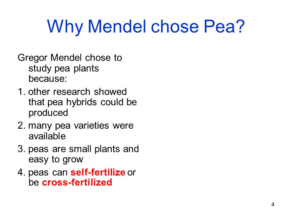 why did mendel choose peas for his experiments