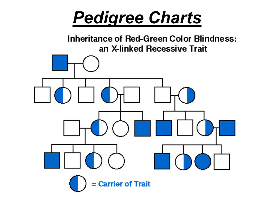 Turner Syndrome Pedigree Chart