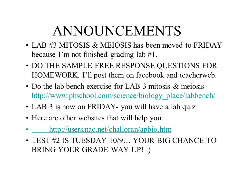 Announcements Lab 3 Mitosis Meiosis Has Been Moved To Friday