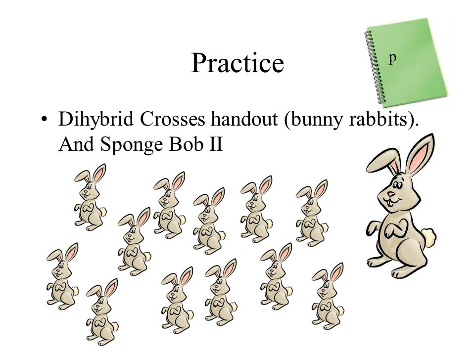 How Do Traits Pass From Parents To Offspring Ppt Download