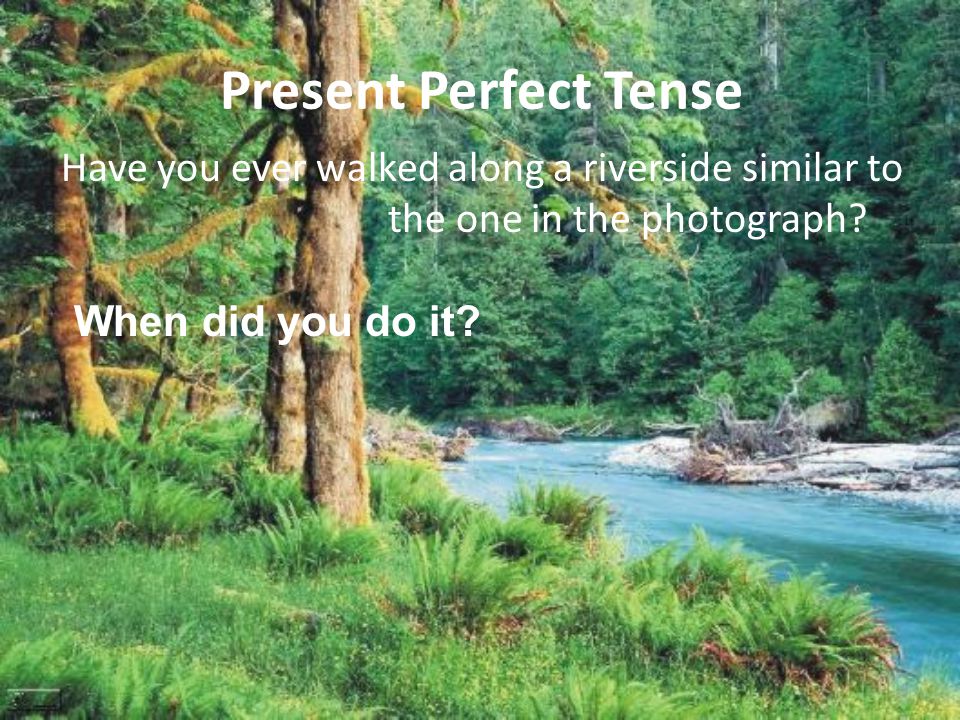 Present Perfect Tense Have you ever walked along a riverside similar to the one in the photograph.