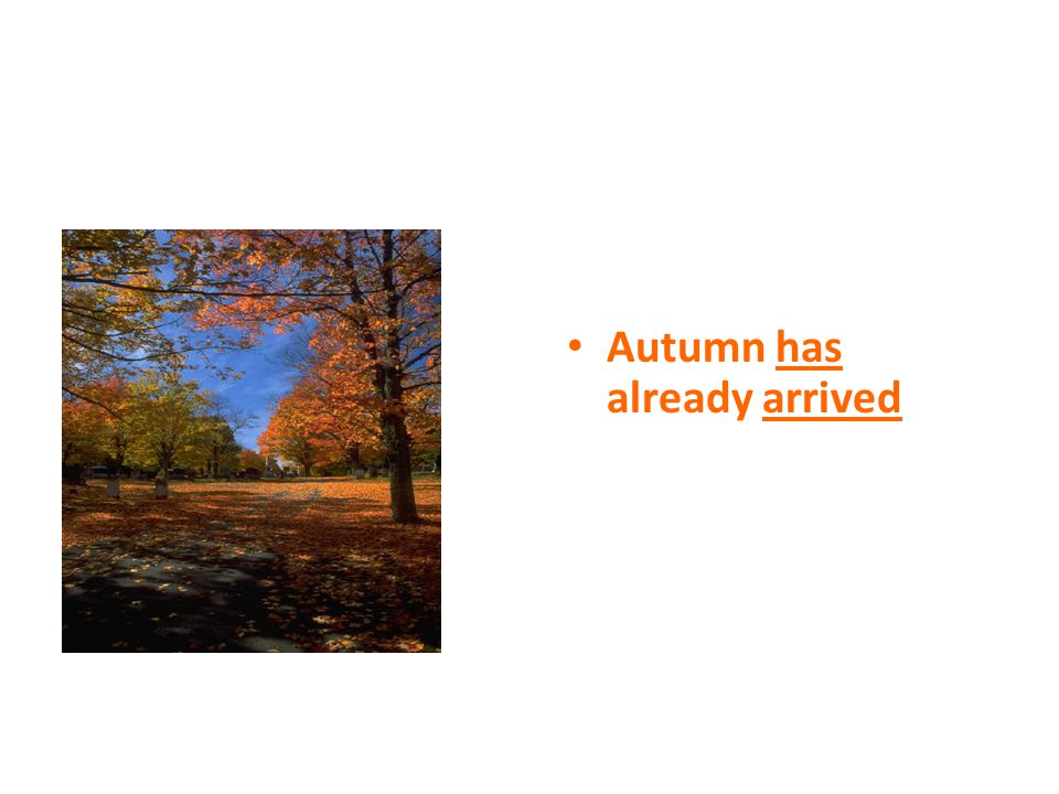 Autumn has already arrived