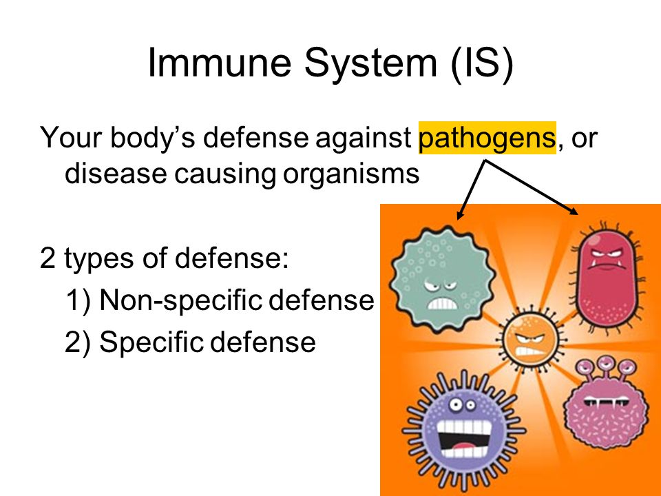 Immune System (IS) Your body’s defense against pathogens, or disease causing organisms. 2 types of defense: