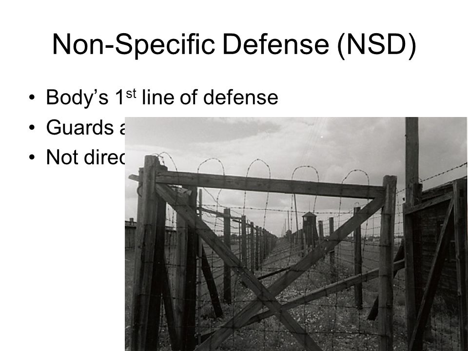 Non-Specific Defense (NSD)