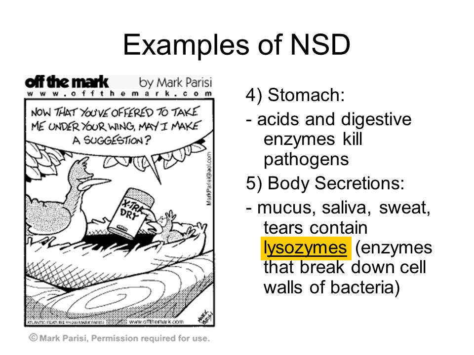 Examples of NSD 4) Stomach:
