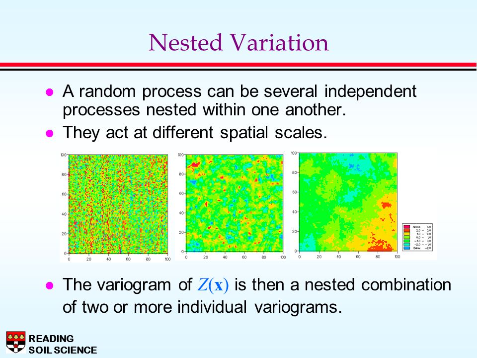 Nested Variation A random process can be several independent processes nested within one another. They act at different spatial scales.