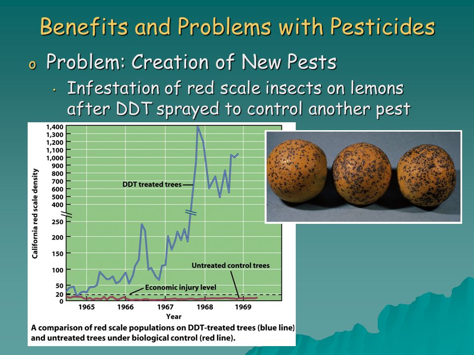 Benefits and Problems with Pesticides