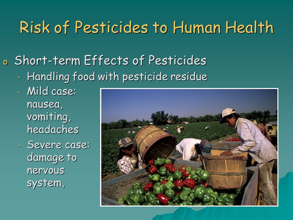 Risk of Pesticides to Human Health