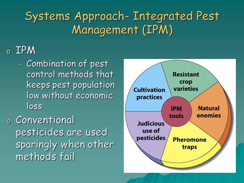 Systems Approach- Integrated Pest Management (IPM)