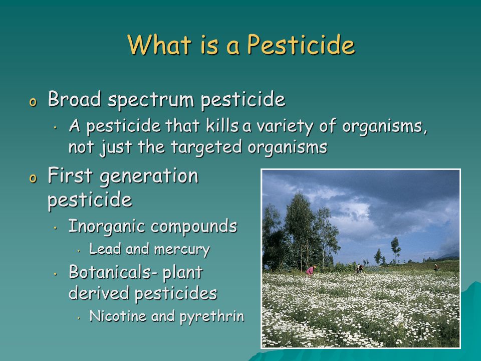 What is a Pesticide Broad spectrum pesticide