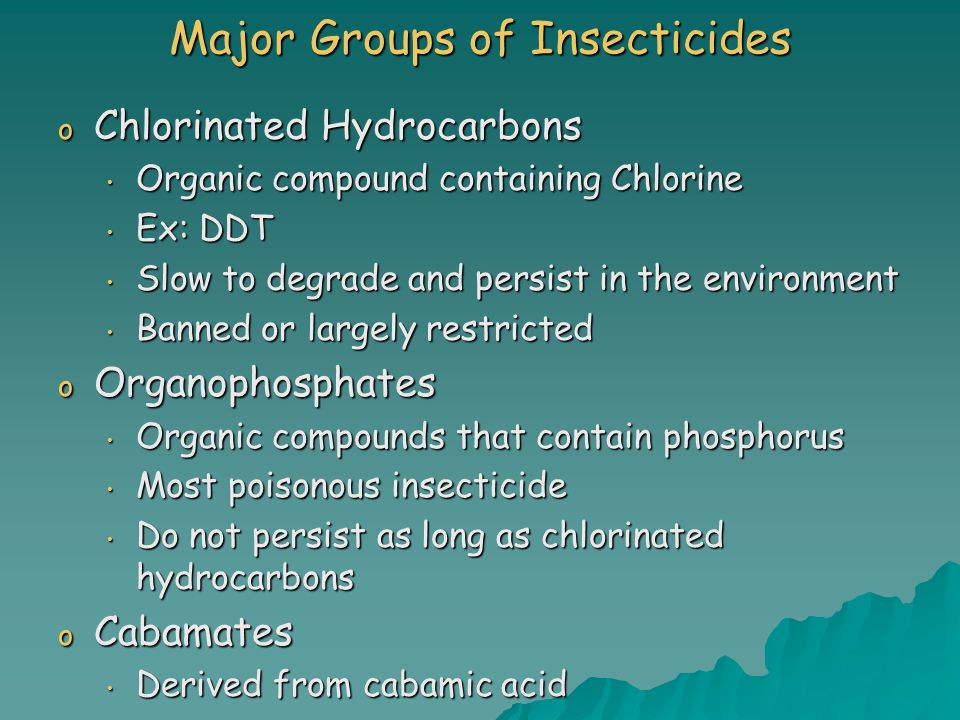 Major Groups of Insecticides