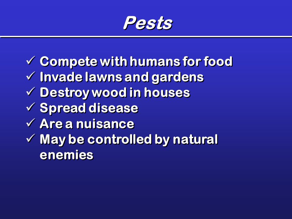 Pests Compete with humans for food Invade lawns and gardens