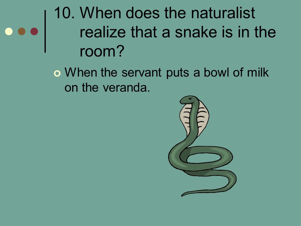 10. When does the naturalist realize that a snake is in the room