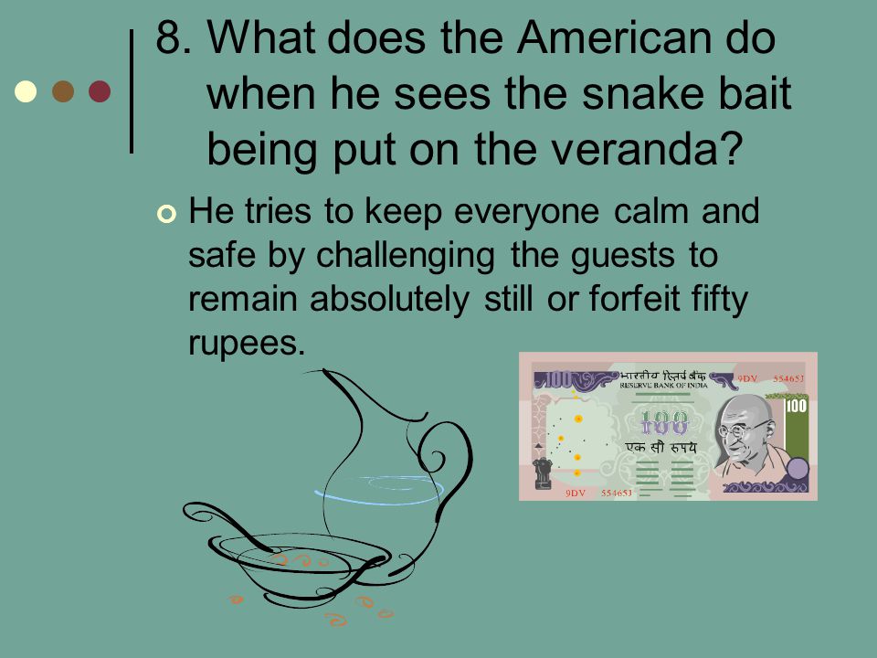 8. What does the American do when he sees the snake bait being put on the veranda