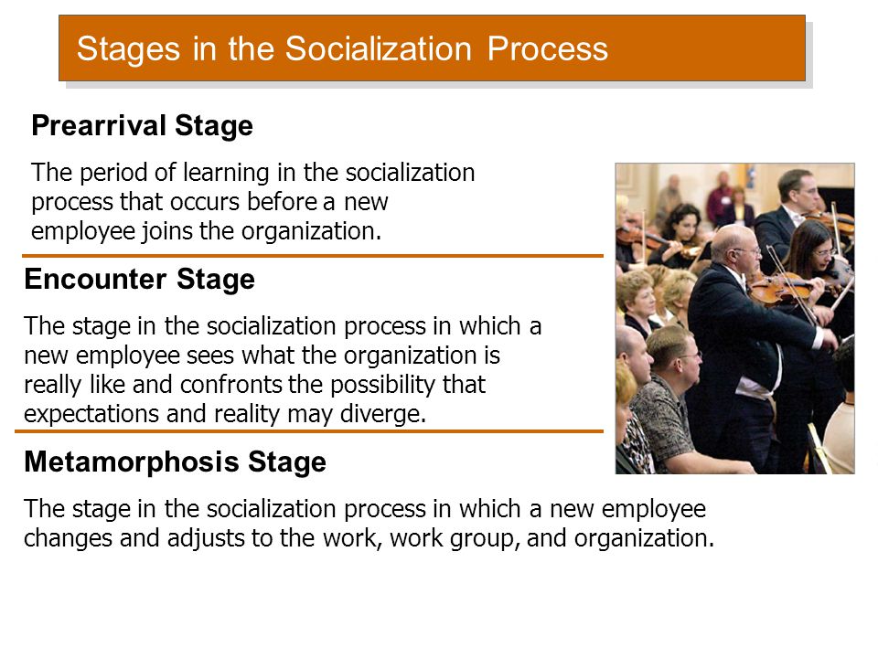 A Socialization Model