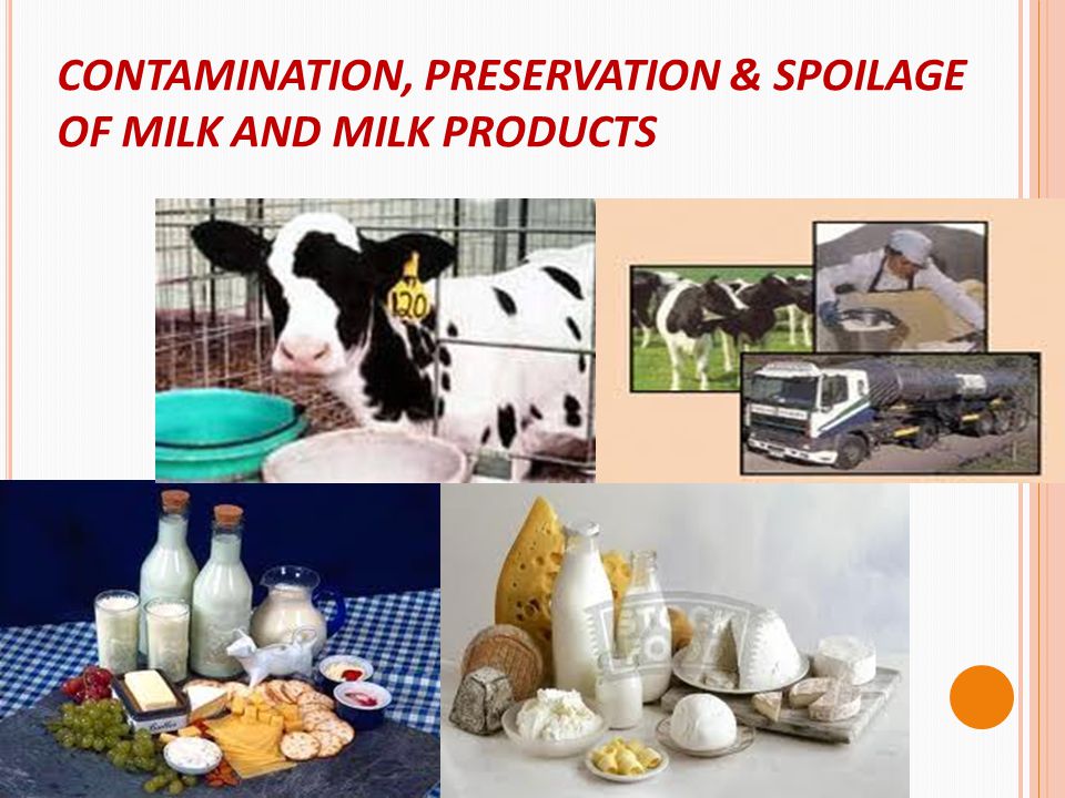 CONTAMINATION, PRESERVATION & SPOILAGE OF MILK AND MILK PRODUCTS