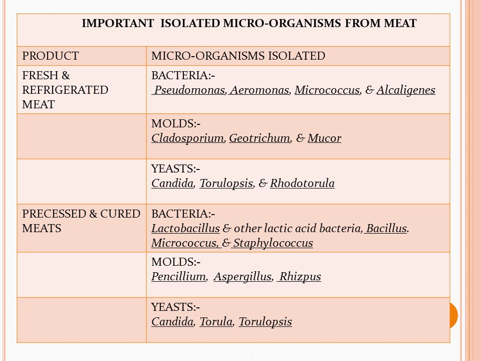 IMPORTANT ISOLATED MICRO-ORGANISMS FROM MEAT