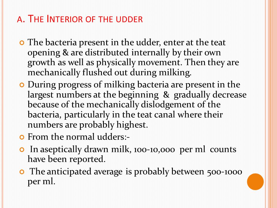 a. The Interior of the udder
