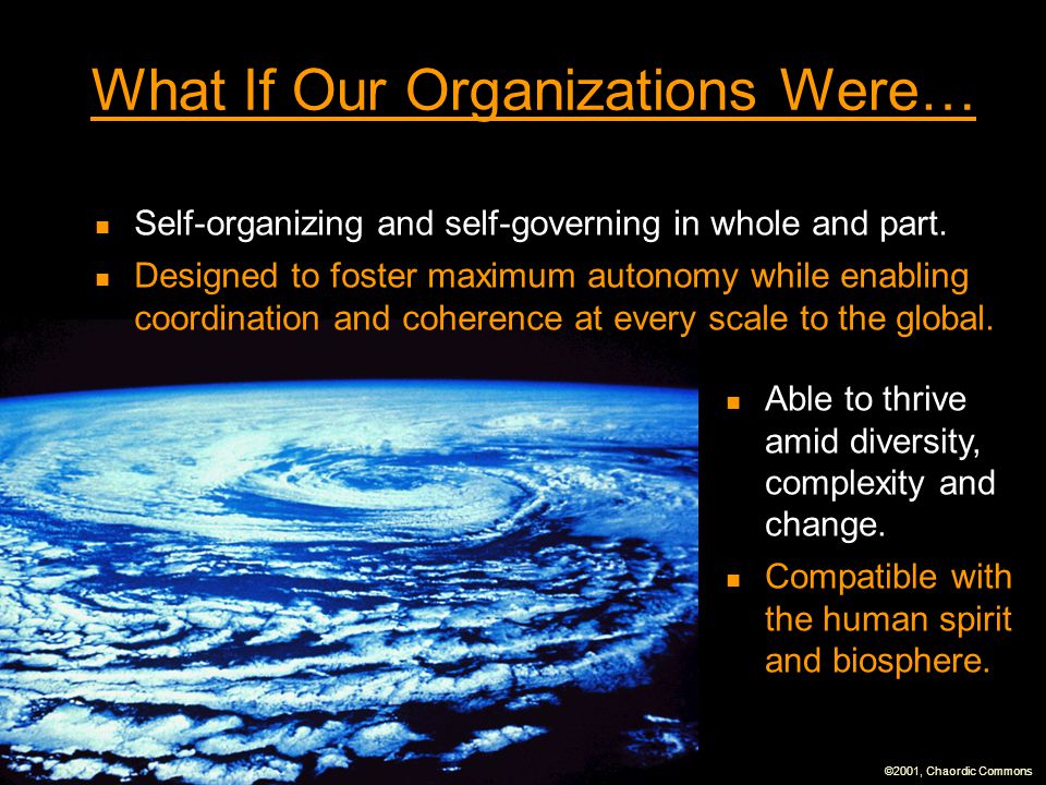 What If Our Organizations Were…