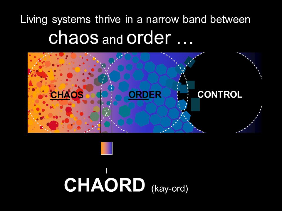 chaos and order … CHAORD (kay-ord)