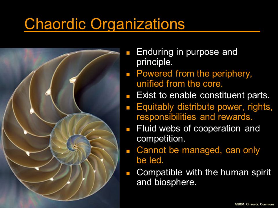 Chaordic Organizations